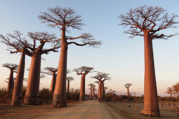 Découvrir Madagascar dans toutes ses facettes