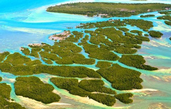 Miami et les Keys : 2 visites incontournables en Floride